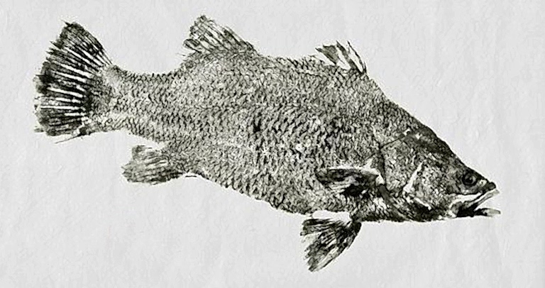 gyoutaku_resim_teknigi